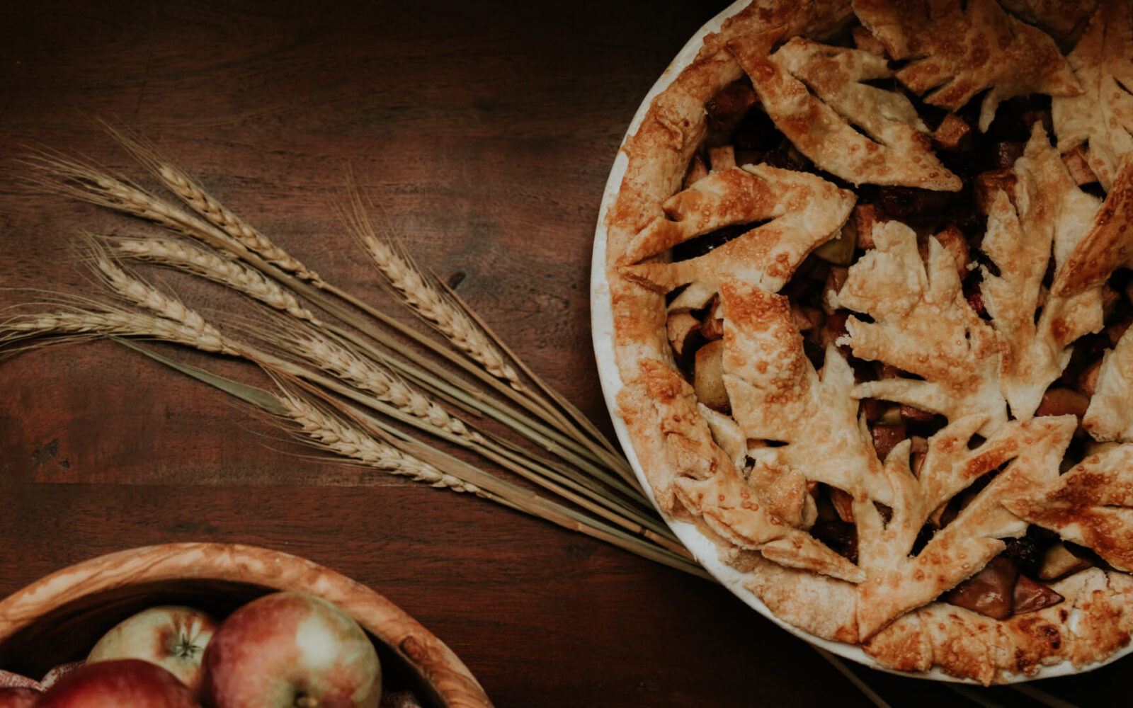 activetourism-front-page-background-4